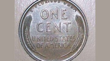 1909 VDB Penny Value: How Much Is Your Rare Wheat Penny Worth?