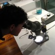 coin microscope by adactio