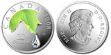 Canadian maple leaf 20 dollar coin.jpg