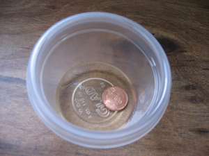 cleaning-a-penny-in-vinegar-by-Collin-Anderson.jpg
