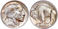 type-i-buffalo-nickel.jpg