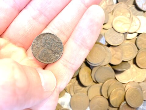 This wheat penny is a cull coin due to its condition