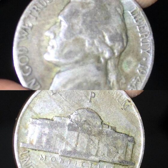 Jefferson War Nickel Values + How To Tell Silver Nickels From Regular U