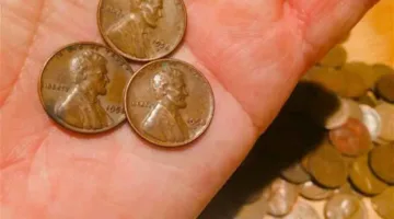 Find out how much your 1958 penny is worth! (You're not gonna believe how much a few of the 1958 pennies are worth these days!)