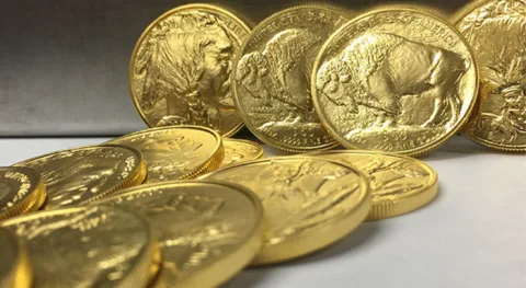 These are American Buffalo gold coins