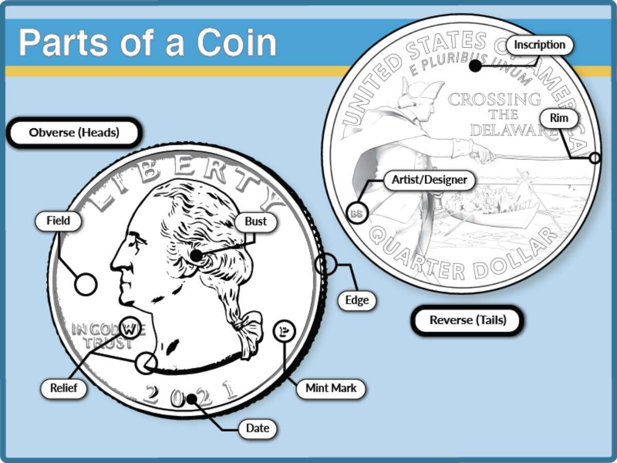 anatomy-of-a-coin Parts of a coin explained via diagram