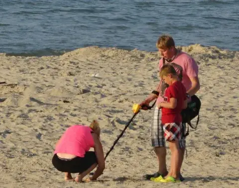 collect coins using a metal detector