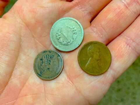 cull-coins-scaled Cull Coins