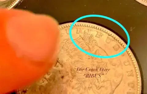 The circled area on this coin highlights a die break (or die crack)