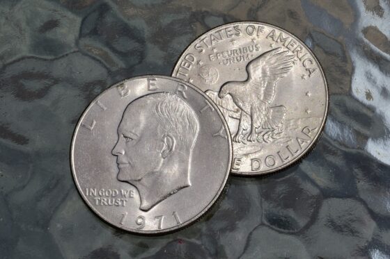 A list of Eisenhower dollar errors and varieties worth lots of money! photo by slgc on Flickr. See a list of Eisenhower dollar errors!