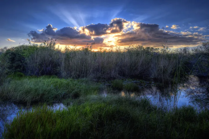 everglades-national-park-florida