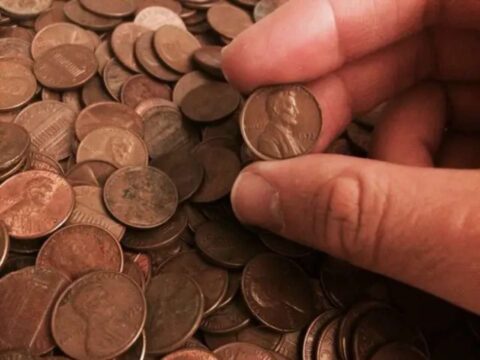 lincoln-pennies1 You'll be surprised how many valuable pennies you can find just searching through you everyday pocket change!