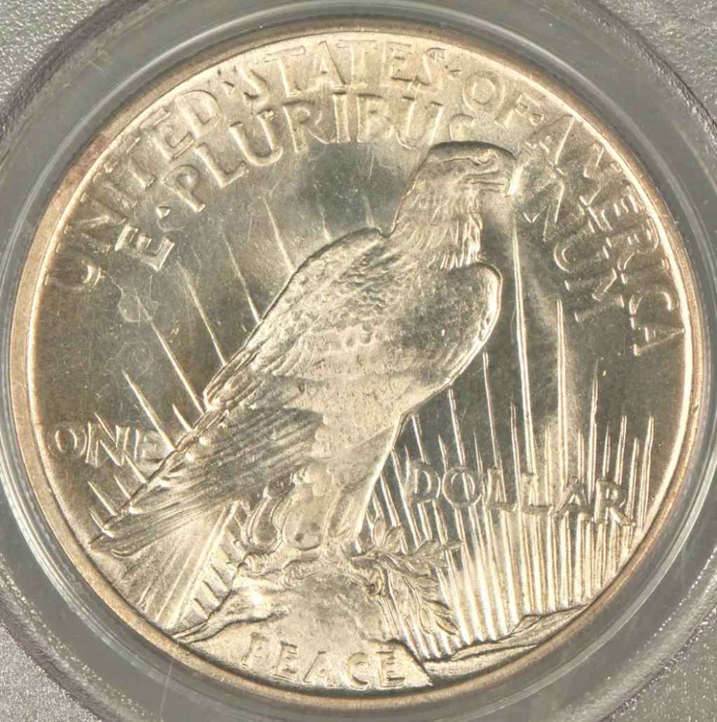 This is the reverse (tails side) of a Peace silver dollar. 