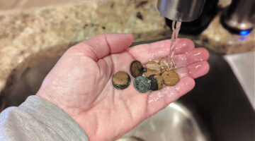 Proper coin cleaning only involves water -- nothing abrasive to scratch the coin's surface.