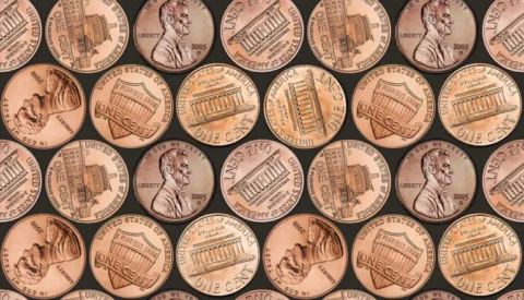 Rare lincoln cent varieties. 