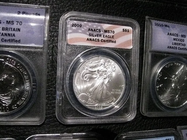 Silver Eagles