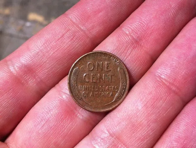 Copper Pennies