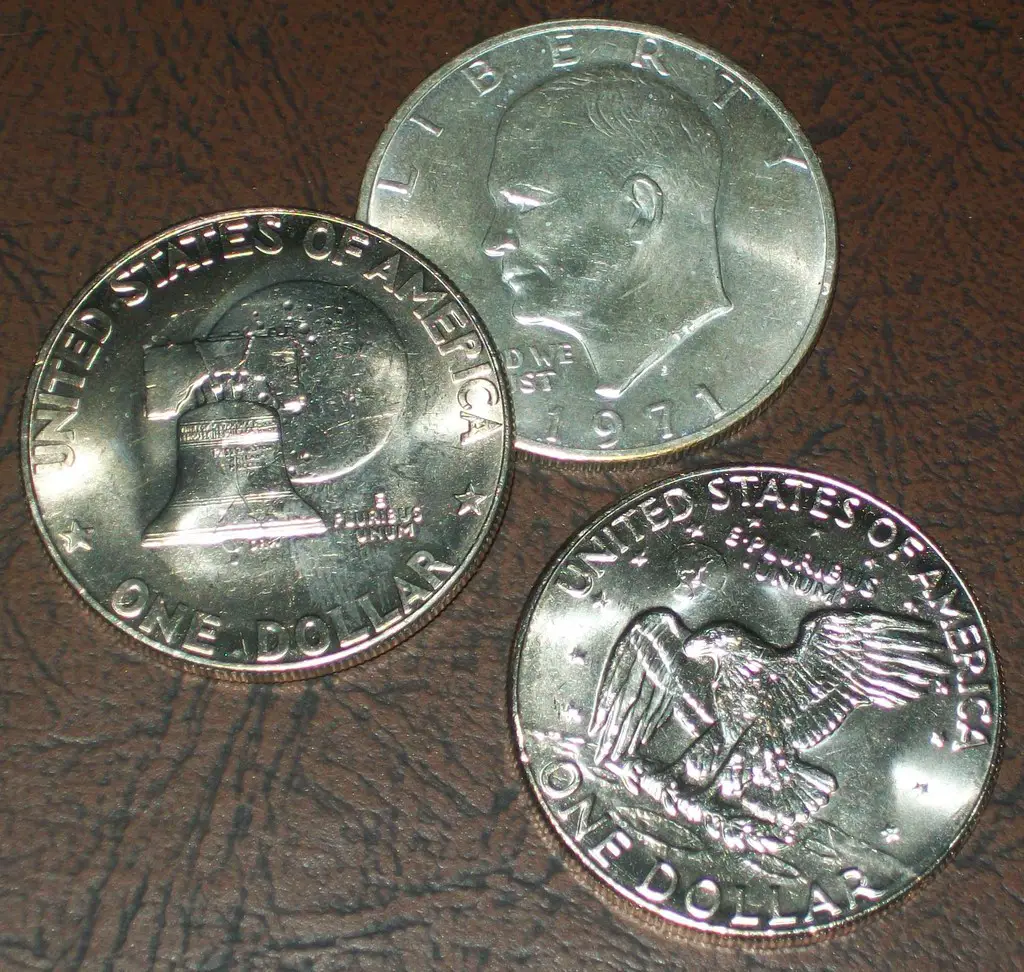 Eisenhower Dollars Cheap Fun Coins To Collect,Rock Candy Recipe Fast